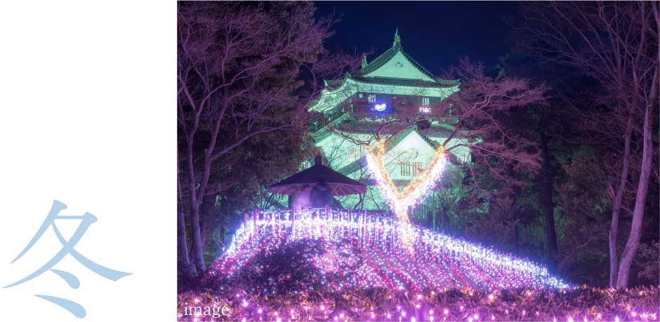 岡崎城ライトアップ