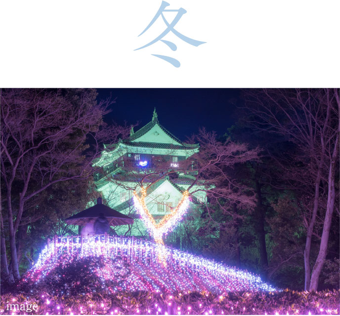 岡崎城ライトアップ