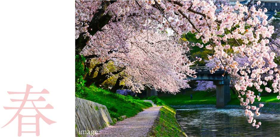 桜まつり