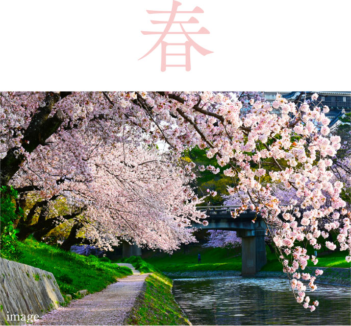 桜まつり