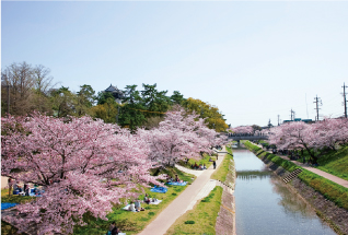 岡崎城・岡崎城公園