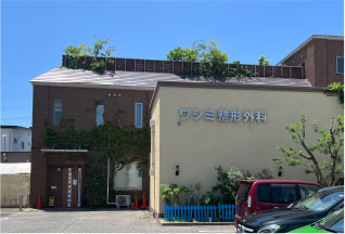 ワシミ整形外科